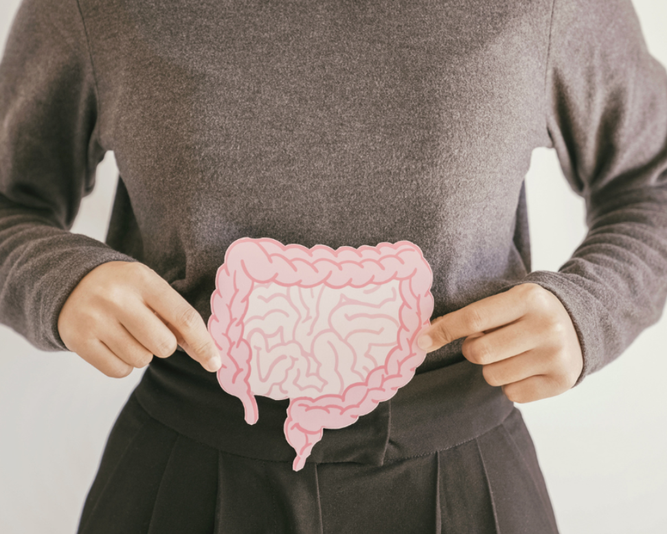 Why Gundry Health Is Gaining Attention for Gut Issues That Don’t Go Away