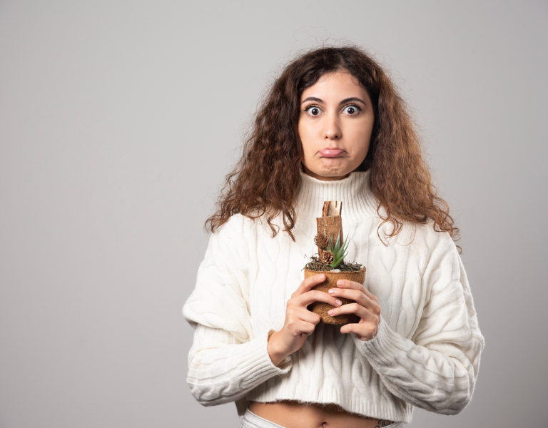 Best Rebel Aromas Products You Must Try