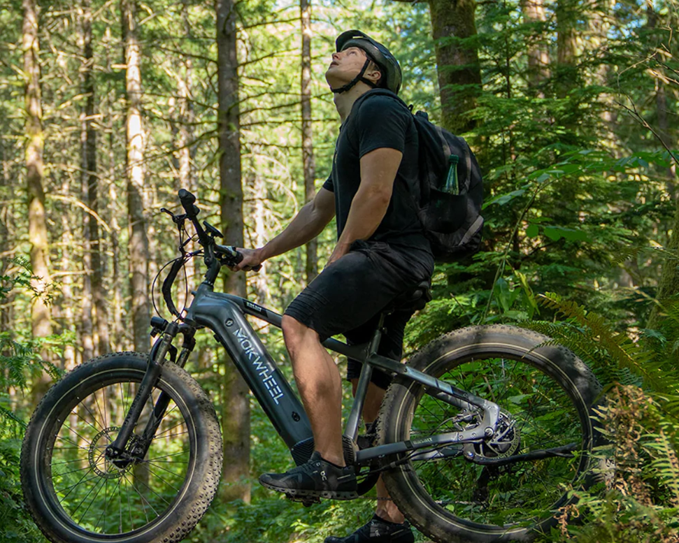 Enjoy the Power of Solar with These Must-See Mokwheel E-Bikes